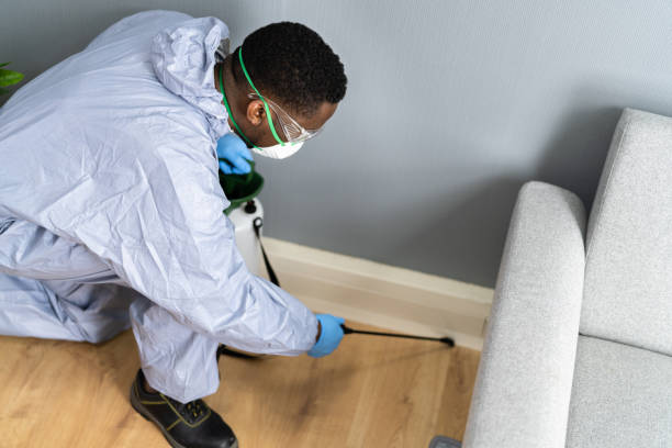 Best Pest Prevention Services  in East Moriches, NY